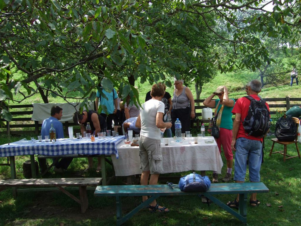 Plantaza Aronije Dedevci PSD Zlatibor